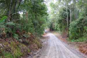 Driving towards Kendall