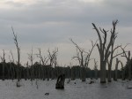 Lake Mulwala at dusk