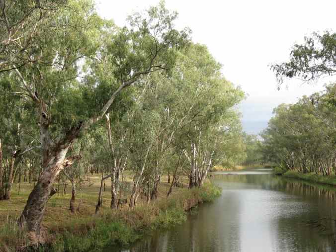 Sunday Creek, near Rutherglen