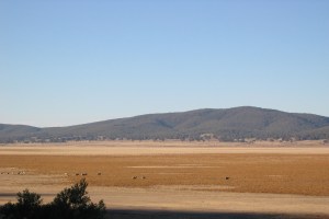 Paddocks in Lake George, 2005