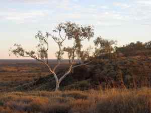 Pilbara, near Newman, WA