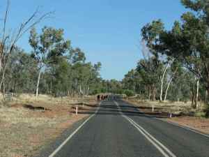 Road to Hermannsburg, Central Australia