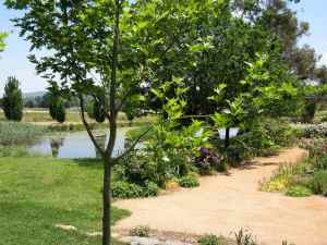 Pialligo garden
