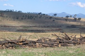 Tharwa - Angle Crossing, New South Wales