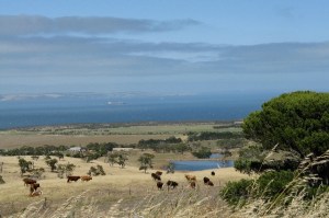 FleurieuPeninsula Fleurieu Peninsula, South Australia
