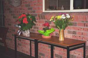 FlowersForWG Bloomers (Flowers in vases and pots)