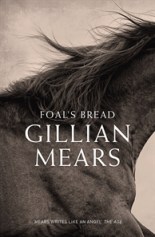 MearsFoalA&U Gillian Mears' Foal's bread