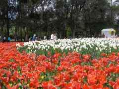 Floriade 2011