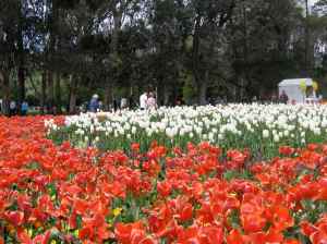 Floriade2011 Floriade 2011