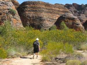 Purnululu (The Bungle Bungles)