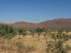 East Kimberley landscape
