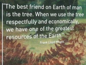 Frank Lloyd Wright tree quote
