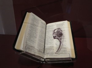 RenatoOraro's Bookwork: NIV Compact Thinline Bible (page 403)