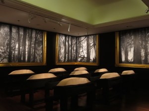 Part of Titarubi's Shadow of surrender (2013)