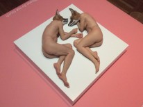 Sam Jinks, Unsettled Dogs