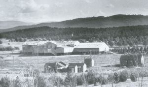 Yarralumla Woolshed, 1925 