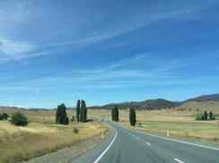 Monaro region, in January