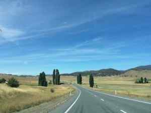 Monaro region, in January
