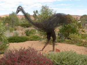 Olive Pink Botanic Garden