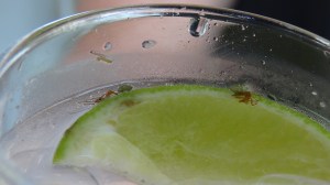 Australian Green Ant Gin and Tonic