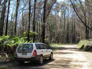 Car in fire burnt bush